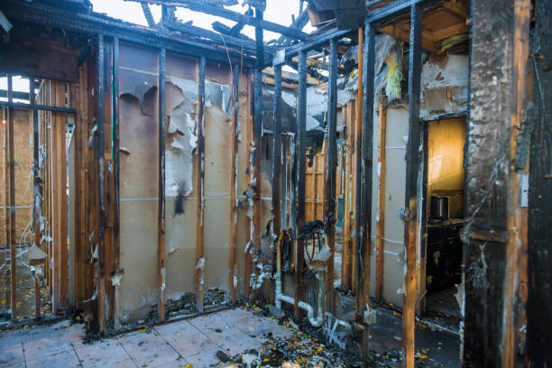 Professional Fire Damage Removal technician working in Hometown, PA